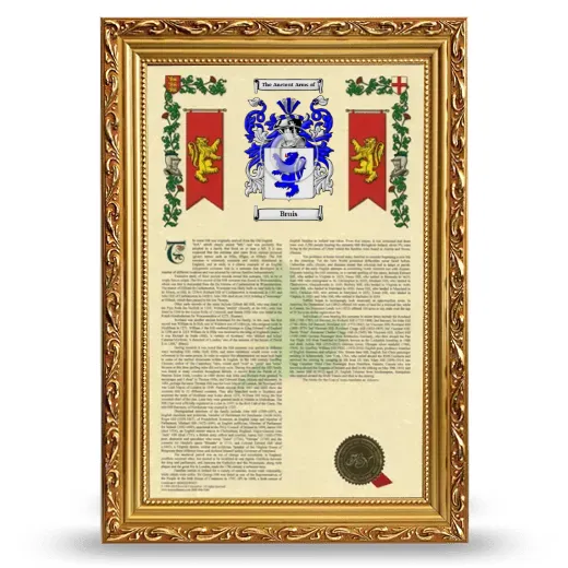 Bruis Armorial History Framed - Gold