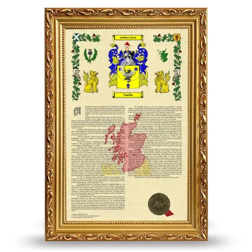 Caslin Armorial History Framed - Gold