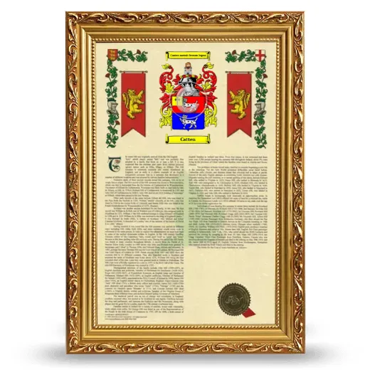 Catten Armorial History Framed - Gold