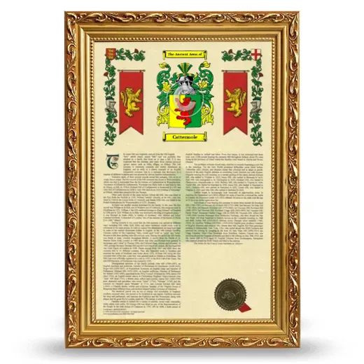 Cattermole Armorial History Framed - Gold