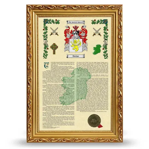 Devine Armorial History Framed - Gold