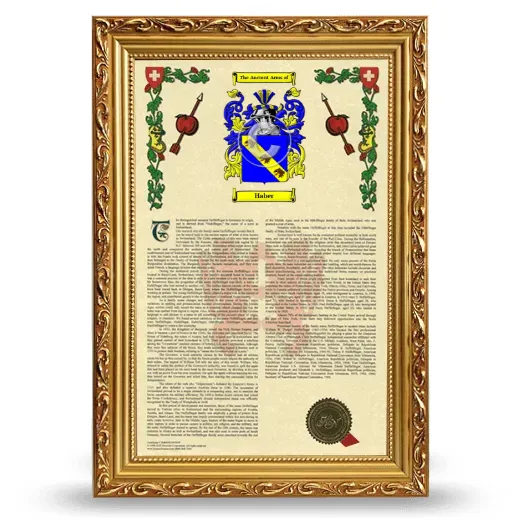 Haber Armorial History Framed - Gold