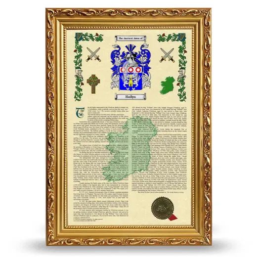 Hailyn Armorial History Framed - Gold