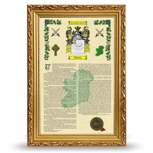Hanson Armorial History Framed - Gold