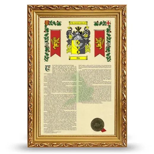 Ilin Armorial History Framed - Gold
