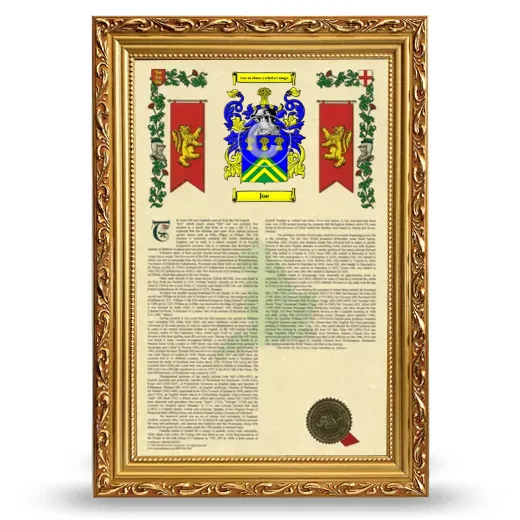 Joe Armorial History Framed - Gold