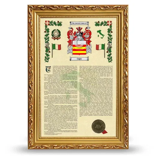 Lupu Armorial History Framed - Gold