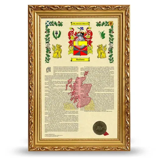 Matheus Armorial History Framed - Gold