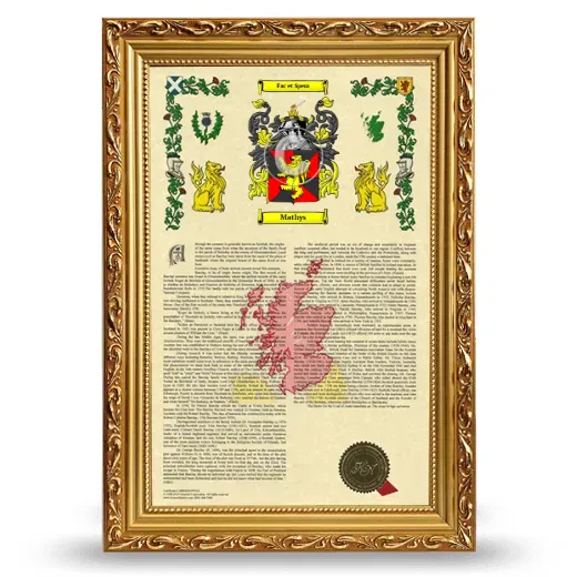 Mathys Armorial History Framed - Gold