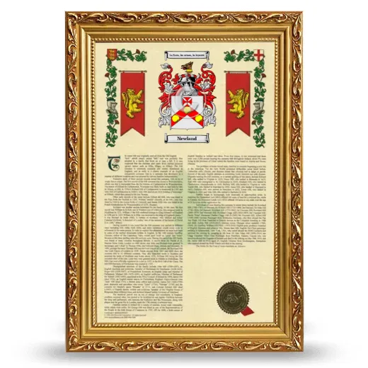 Newland Armorial History Framed - Gold
