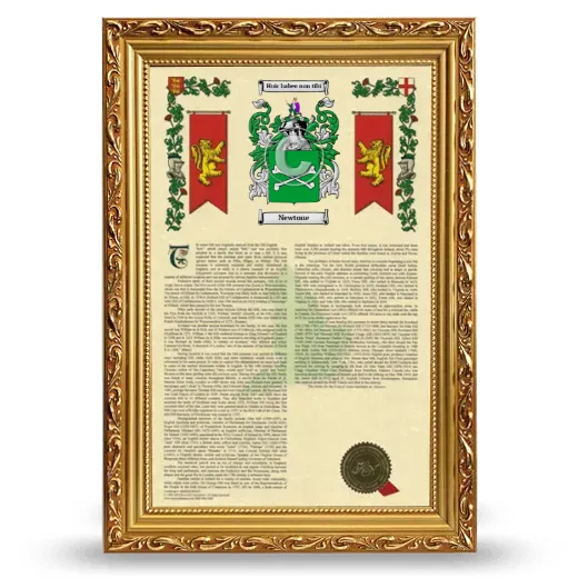 Newtone Armorial History Framed - Gold