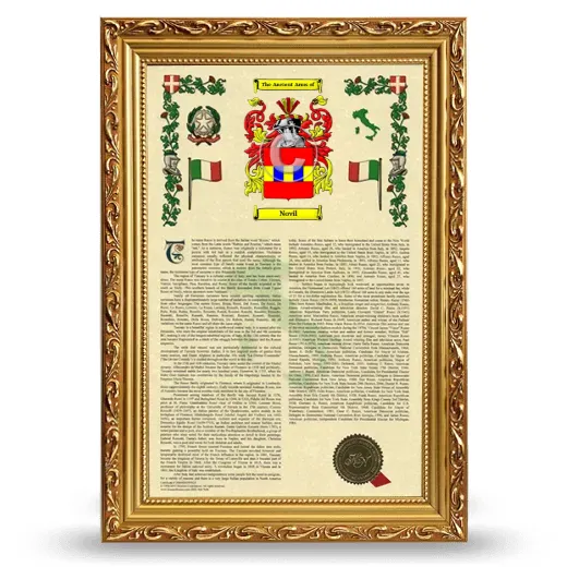 Novil Armorial History Framed - Gold