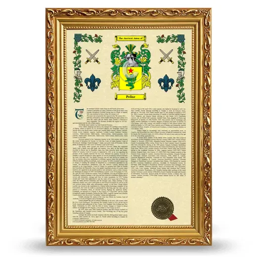 Pelise Armorial History Framed - Gold