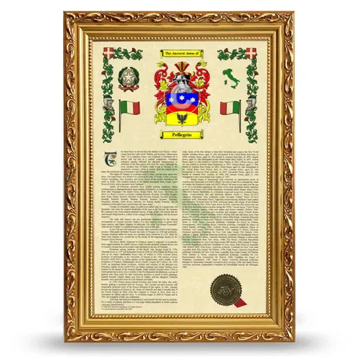 Pellegrin Armorial History Framed - Gold