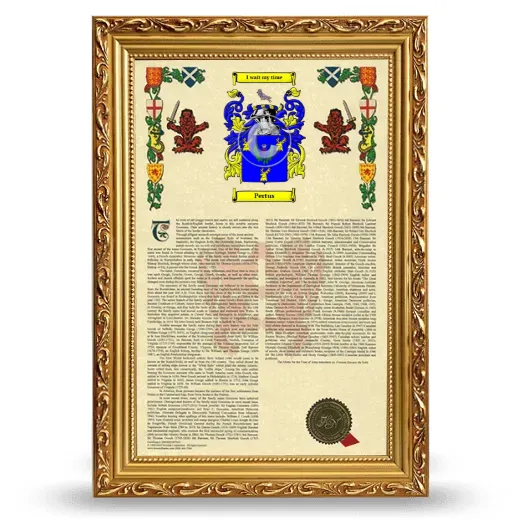 Pertus Armorial History Framed - Gold