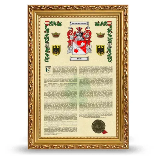 Pfab Armorial History Framed - Gold