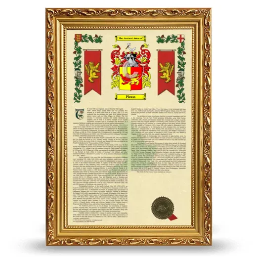 Pleass Armorial History Framed - Gold