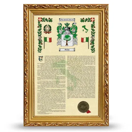 Polon Armorial History Framed - Gold