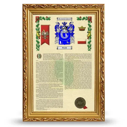 Pucek Armorial History Framed - Gold