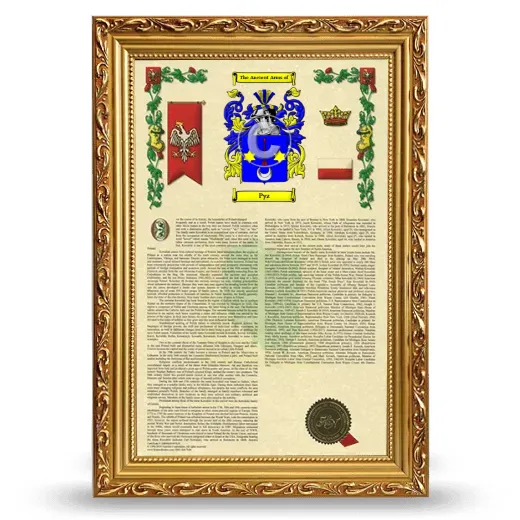 Pyz Armorial History Framed - Gold