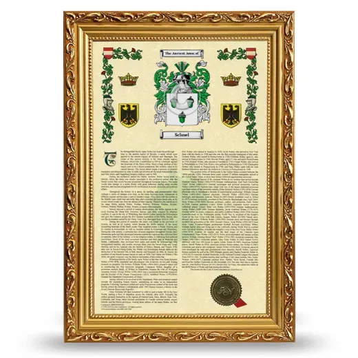 Schnel Armorial History Framed - Gold