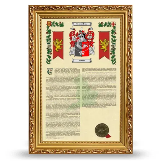 Steare Armorial History Framed - Gold