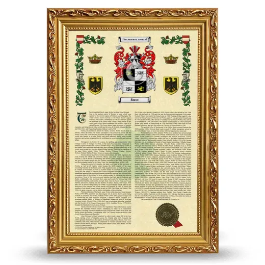 Strot Armorial History Framed - Gold