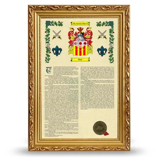 Stur Armorial History Framed - Gold