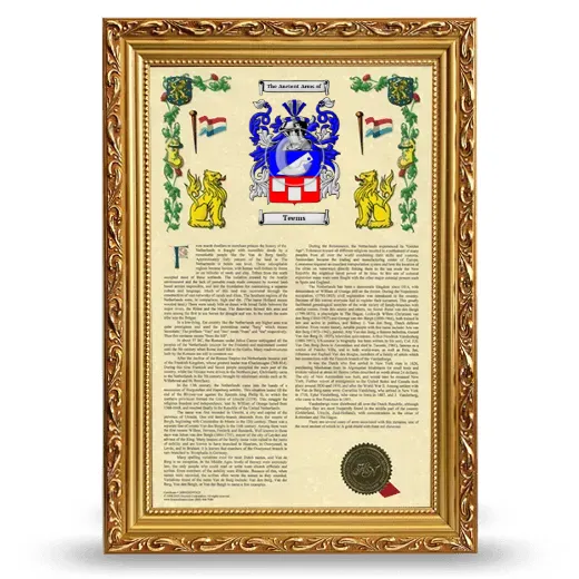 Teems Armorial History Framed - Gold