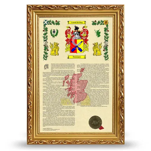 Terrence Armorial History Framed - Gold