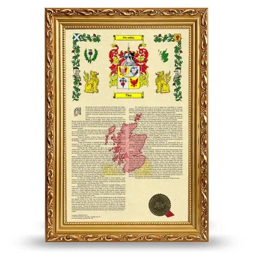 Tiry Armorial History Framed - Gold