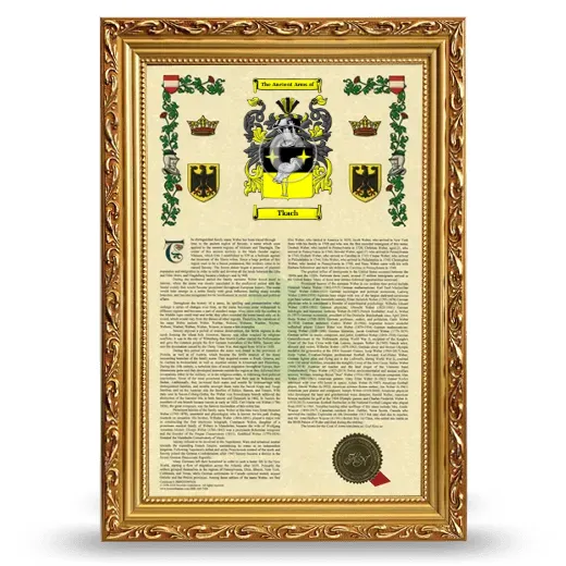 Tkach Armorial History Framed - Gold
