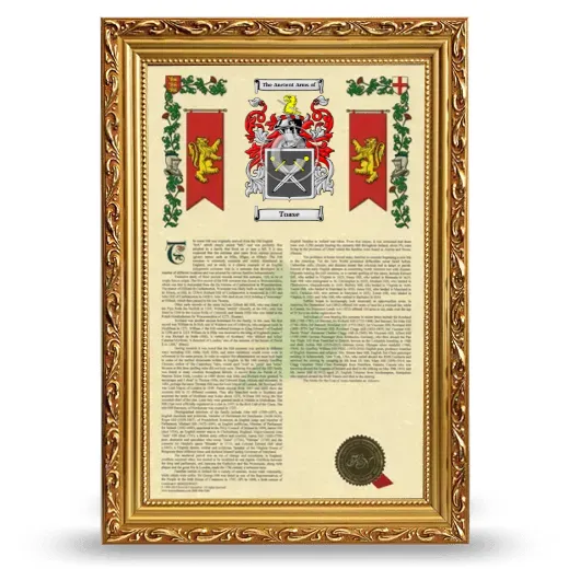 Toase Armorial History Framed - Gold