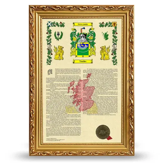 Towles Armorial History Framed - Gold
