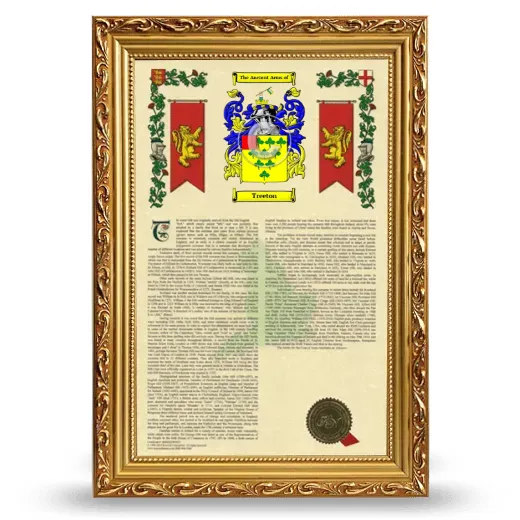 Treeton Armorial History Framed - Gold