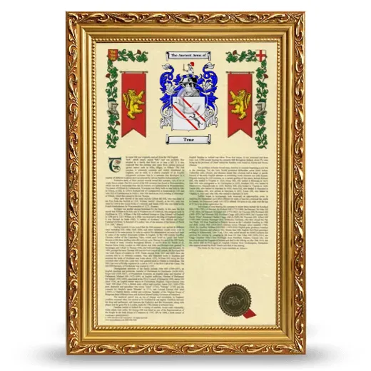 True Armorial History Framed - Gold