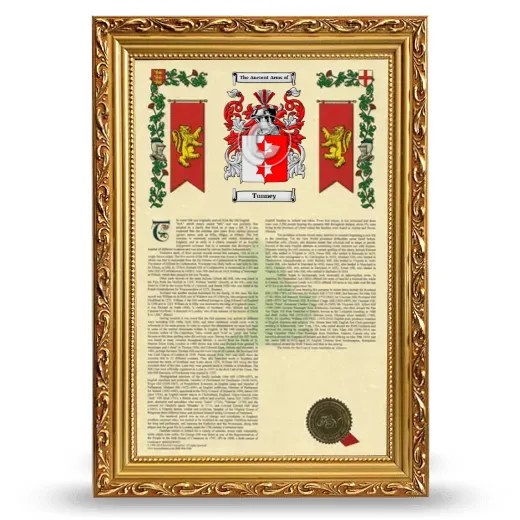 Tunney Armorial History Framed - Gold