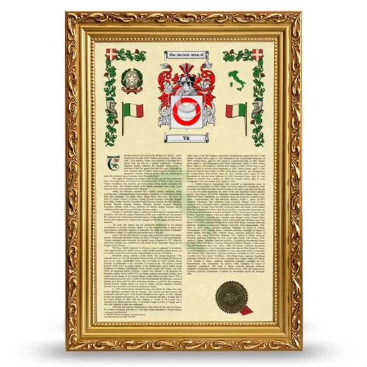 Vit Armorial History Framed - Gold