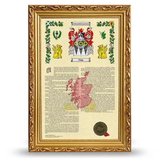 Yong Armorial History Framed - Gold