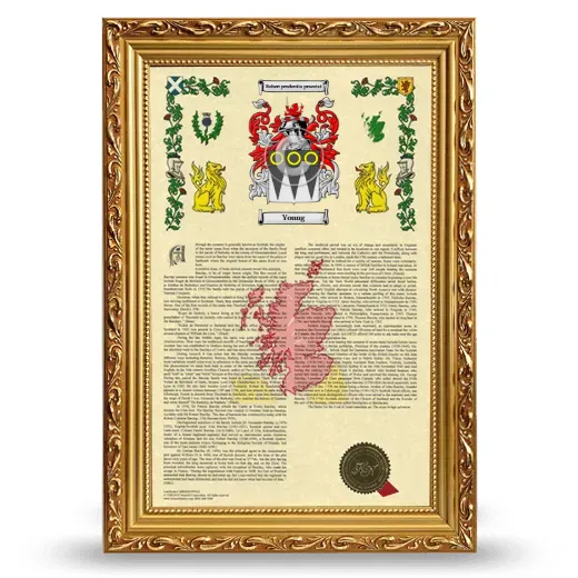 Young Armorial History Framed - Gold
