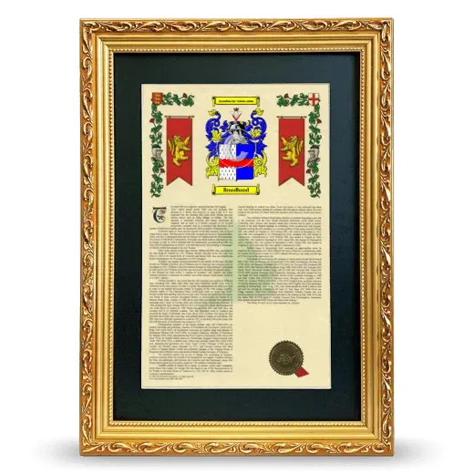 Broadband Deluxe Armorial Framed - Gold