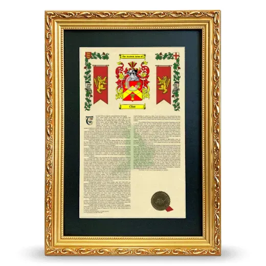 Clint Deluxe Armorial Framed - Gold