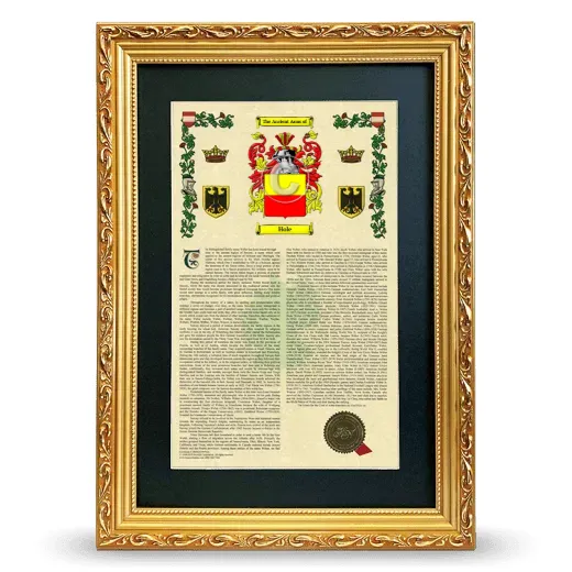 Hole Deluxe Armorial Framed - Gold