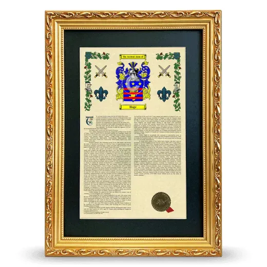 Huge Deluxe Armorial Framed - Gold