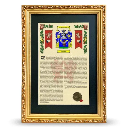 Novotny Deluxe Armorial Framed - Gold
