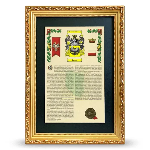 Patzer Deluxe Armorial Framed - Gold