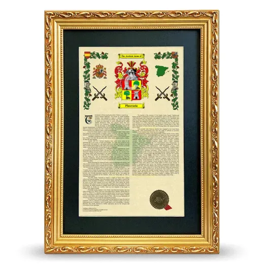 Plasencia Deluxe Armorial Framed - Gold