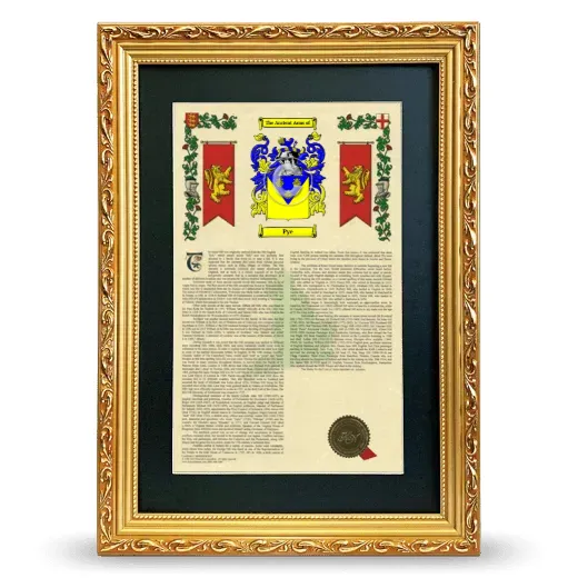 Pye Deluxe Armorial Framed - Gold