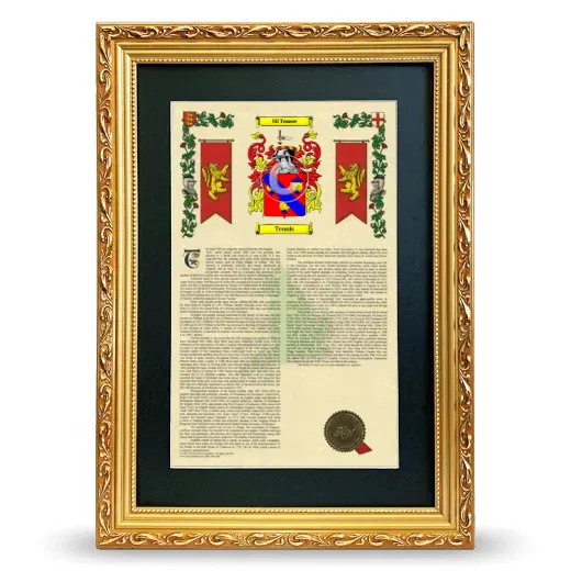 Tennis Deluxe Armorial Framed - Gold