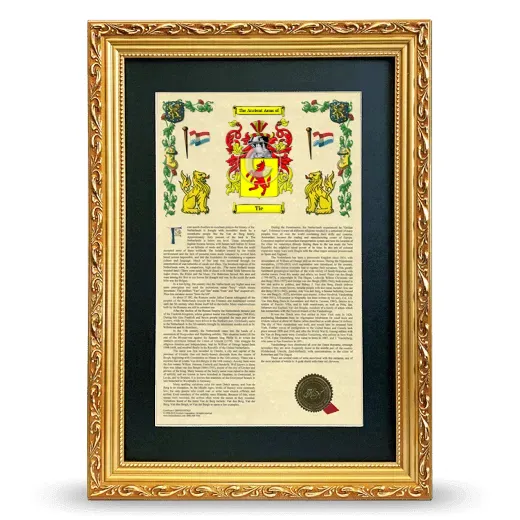 Tie Deluxe Armorial Framed - Gold
